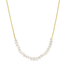Load image into Gallery viewer, Delicate Crystal Accented Necklace